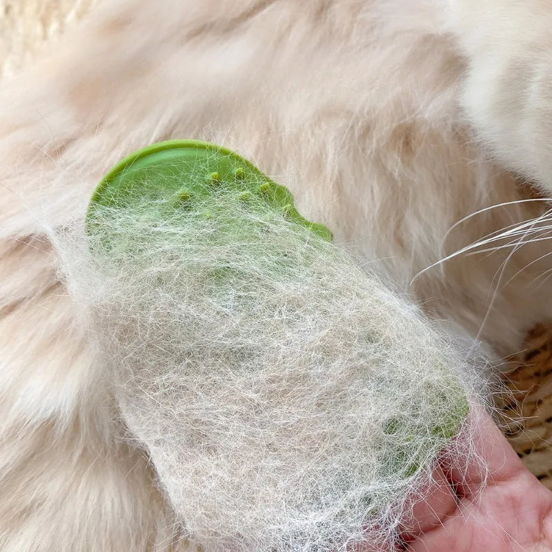 Cat Self-Groomer Wall Brush